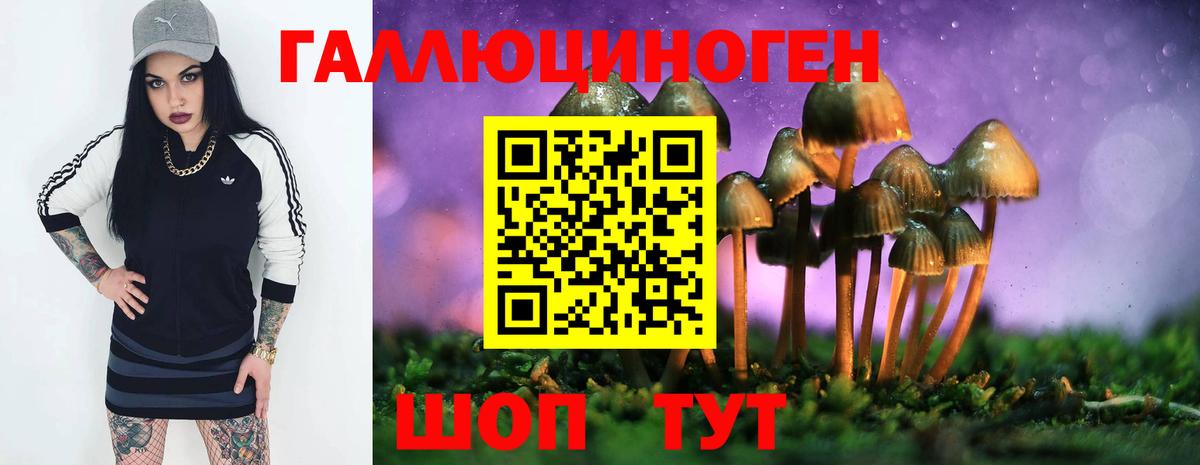 Галлюциногенные грибы GOLDEN TEACHER  Псилоцибиновые грибы ЛСД  Лениногорск  Вход с VPN 