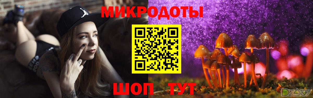 Псилоцибиновые грибы Cubensis Лениногорск